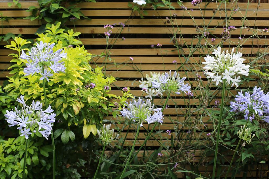 Shoreditch 1 With Garden Londyn Pokój zdjęcie